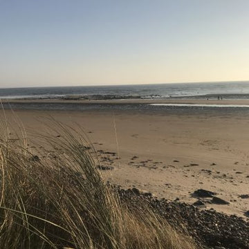 What is Plastic Free July®?